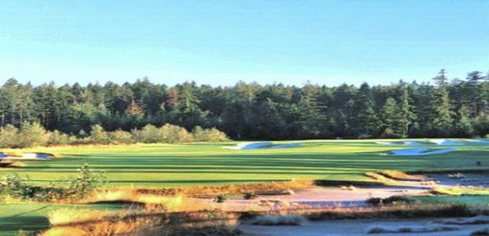 Course photo for Washington National Golf Club
