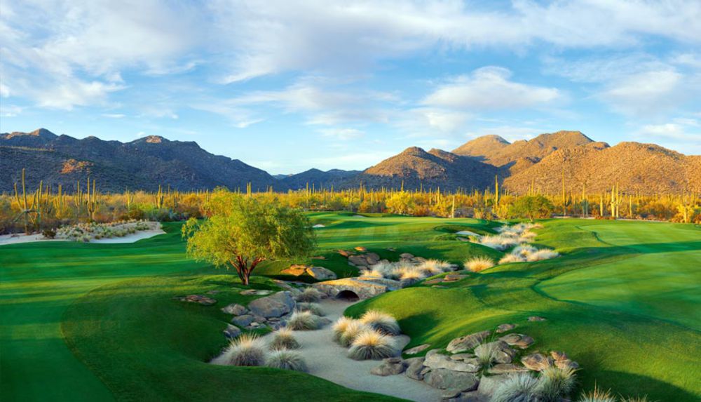 Course photo for The Golf Club at Dove Mountain