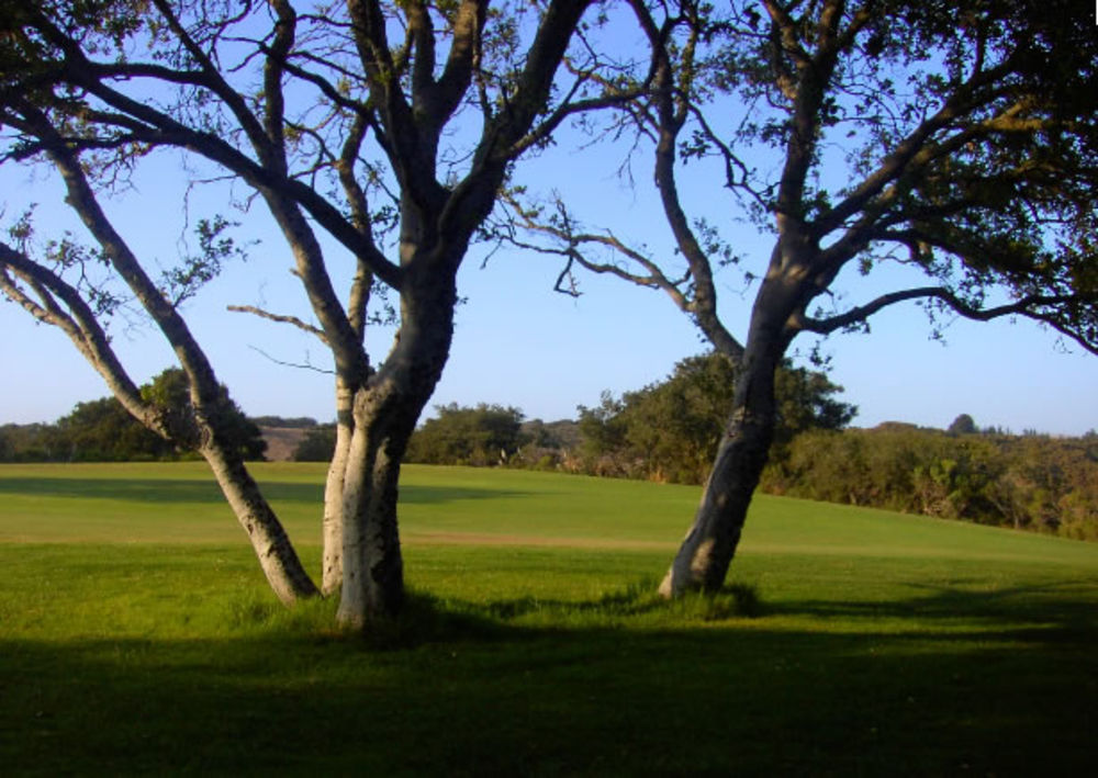 Course photo for Blacklake Golf Resort