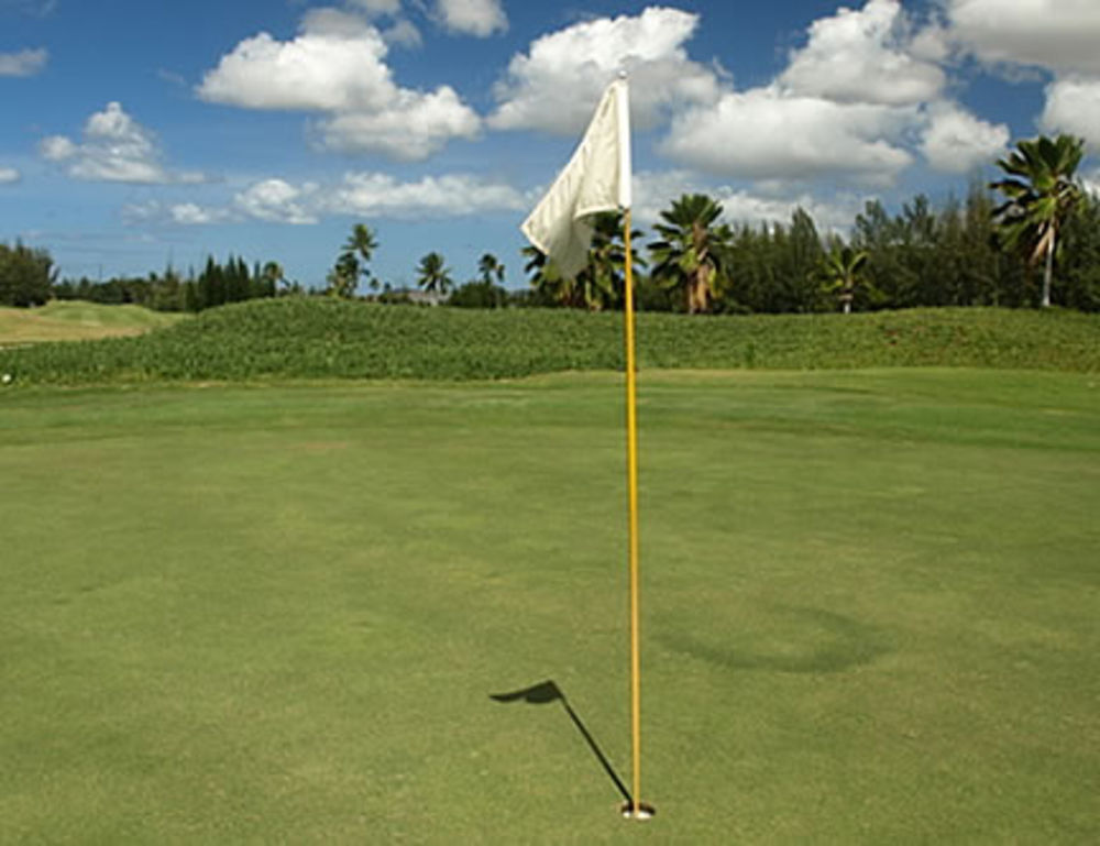 Course photo for Hawaii Prince Golf Club