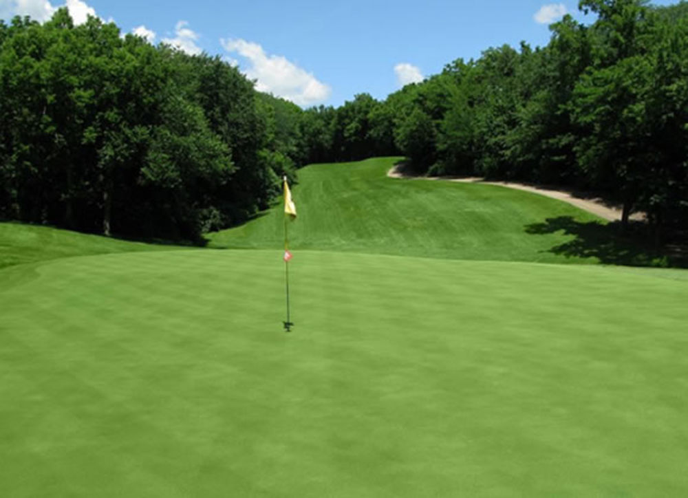 Course photo for Alvamar Golf Course