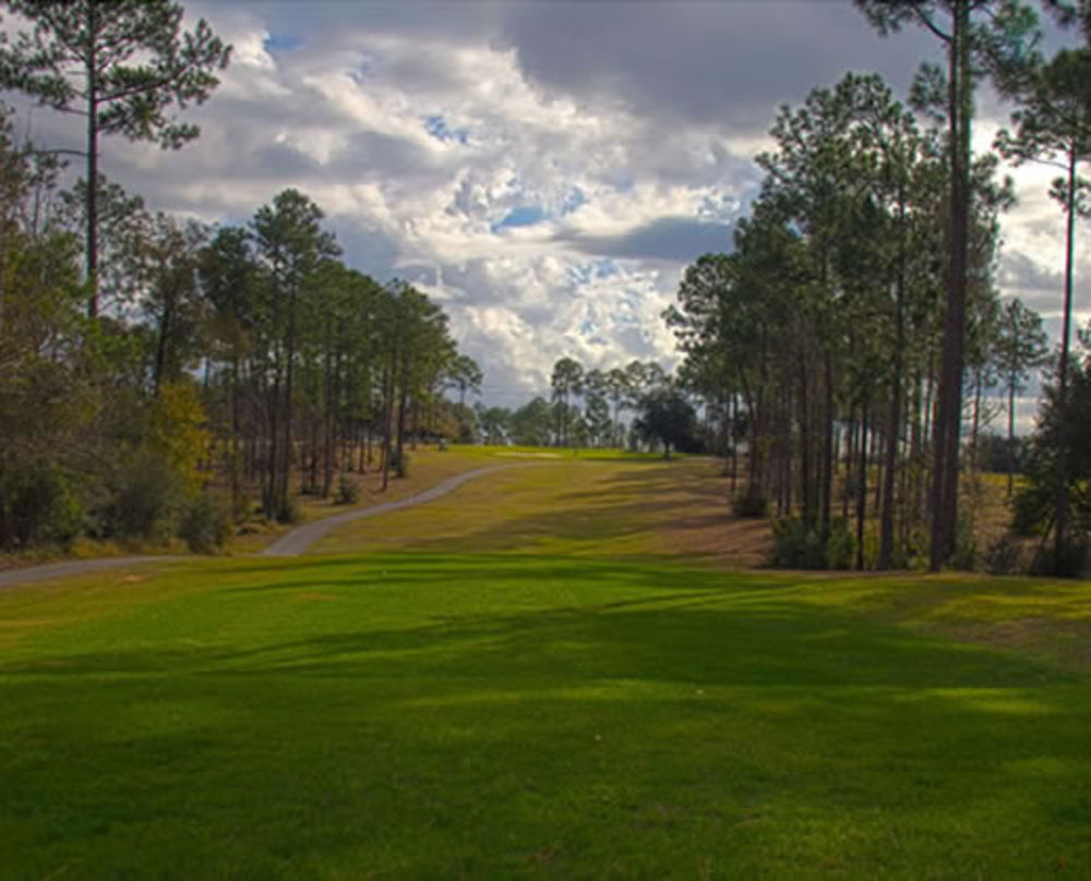 Course photo for Dogwood Hills Golf Club