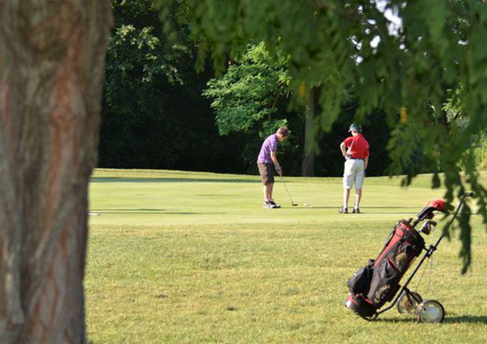 Course photo for Eagle Springs Golf Club