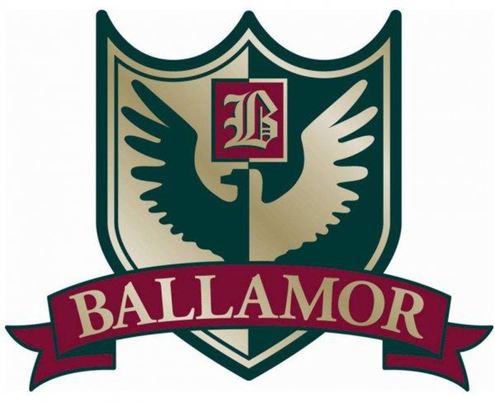 Course photo for Ballamor Golf Club