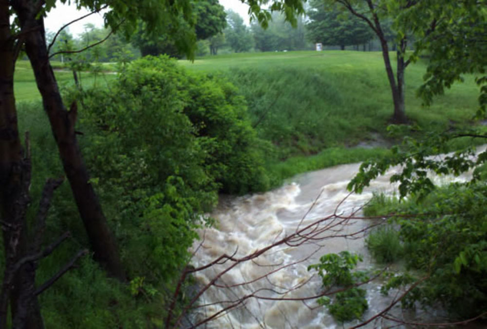 Course photo for Rose Brook Golf Club