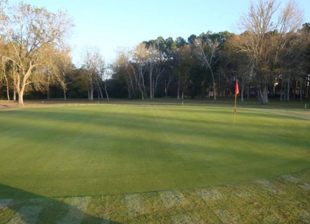 Course photo for Alvin Golf & Country Club