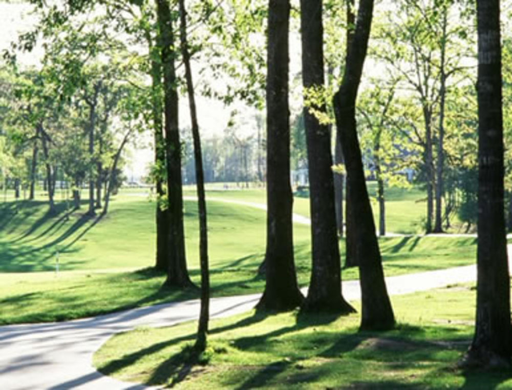 Course photo for Eagle Pointe Golf Club