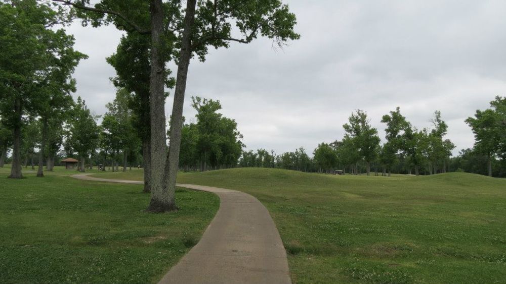 Course photo for Henry Homberg Golf Course