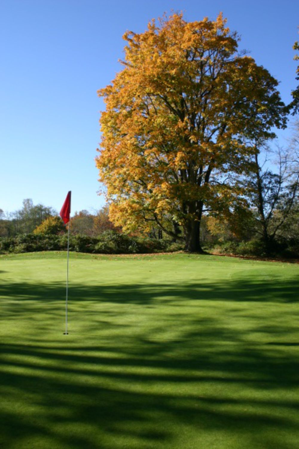Course photo for The Blue Heron Golf Course