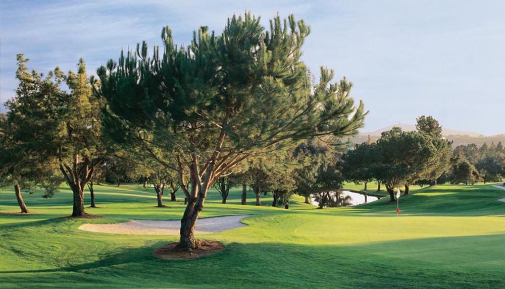 Course photo for Oaks North Golf Course - South Course