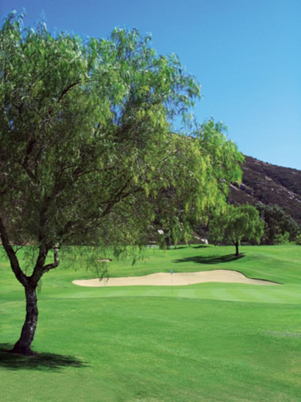 Course photo for The Welk Resort of San Diego- Oaks