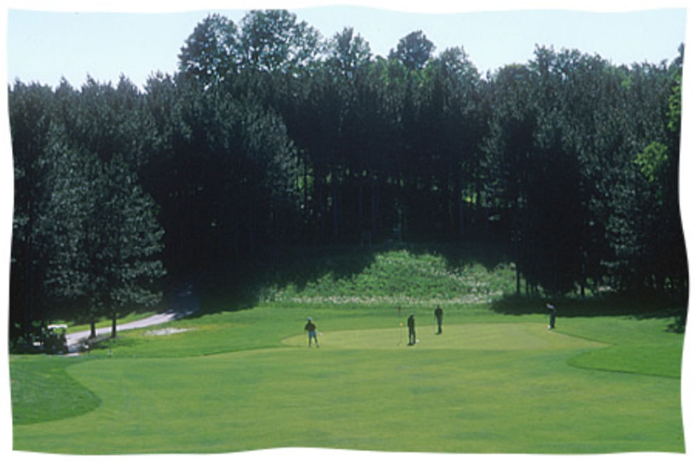 Course photo for The Rose Golf Course