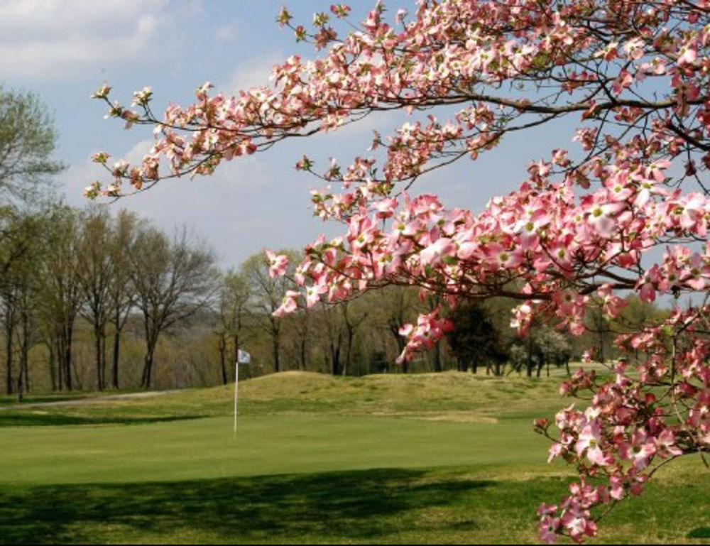 Course photo for The Ridge Golf Course