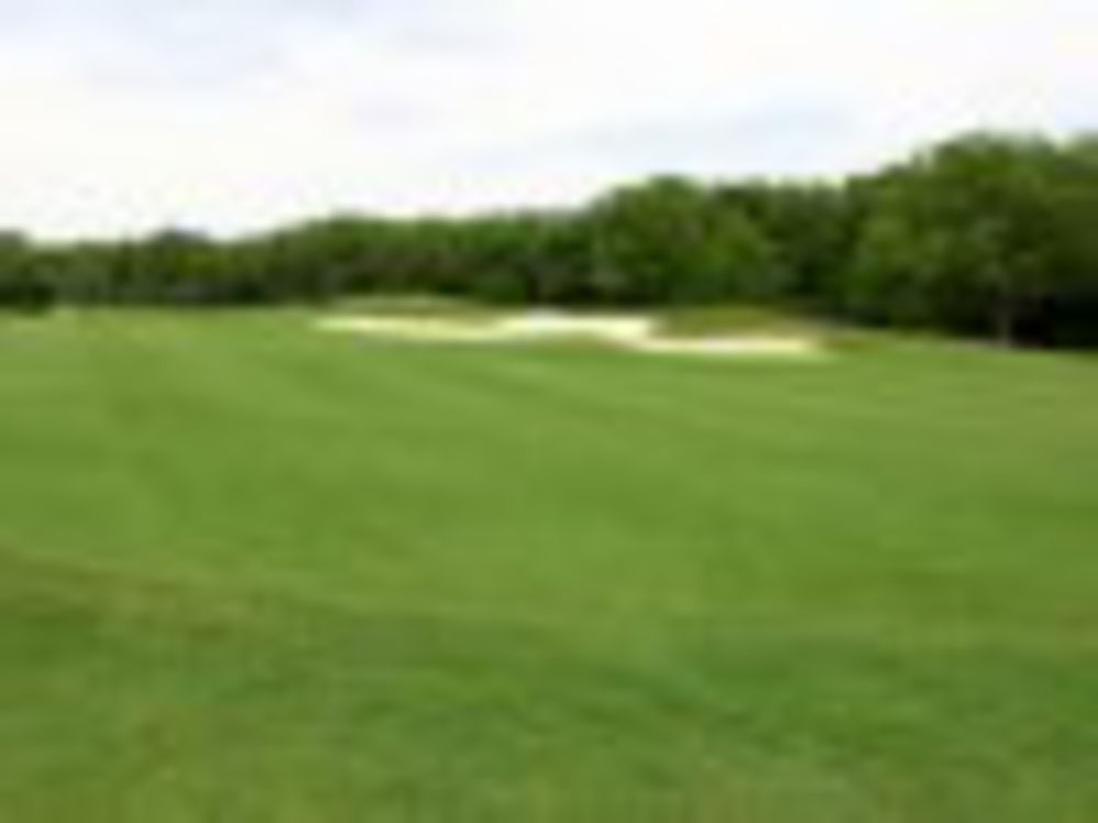 Course photo for Winter Creek Golf Club