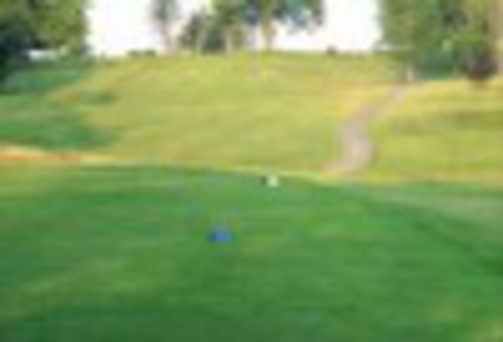 Course photo for Hartley Hills Country Club