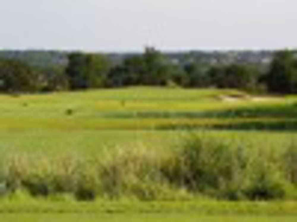 Course photo for Cowan Creek Golf Club