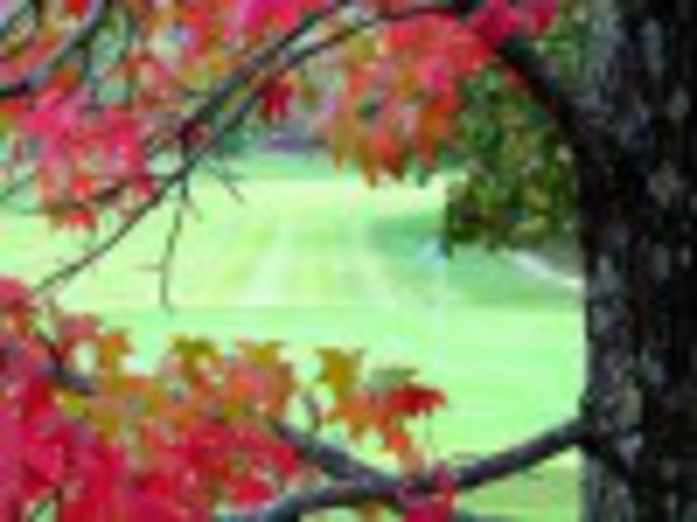 Course photo for Viburnum Golf and Country Club (Viburnum, MO)