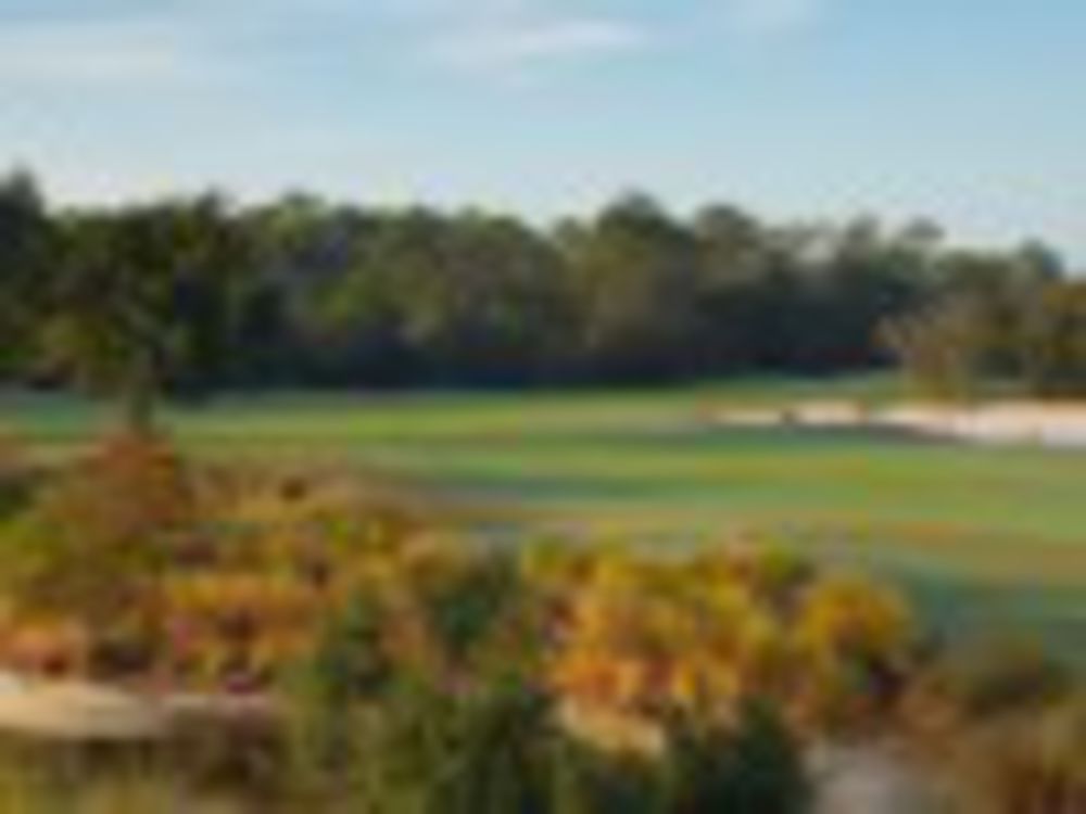 Course photo for Peninsula Golf & Racquet Club | Marsh/Lakes
