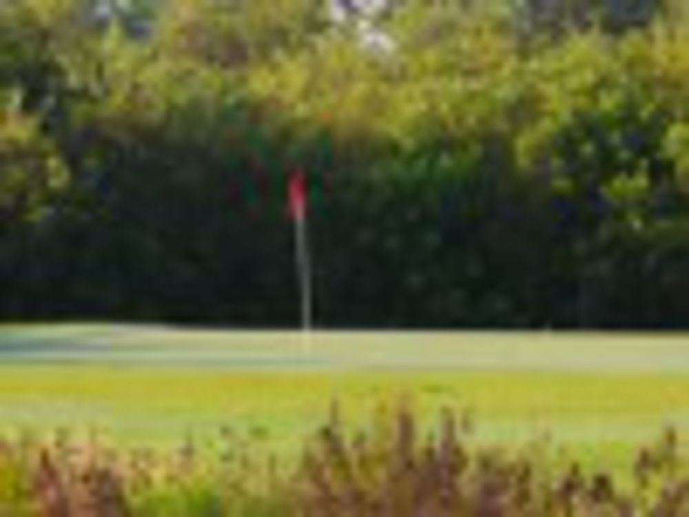 Course photo for Palm Cove Golf