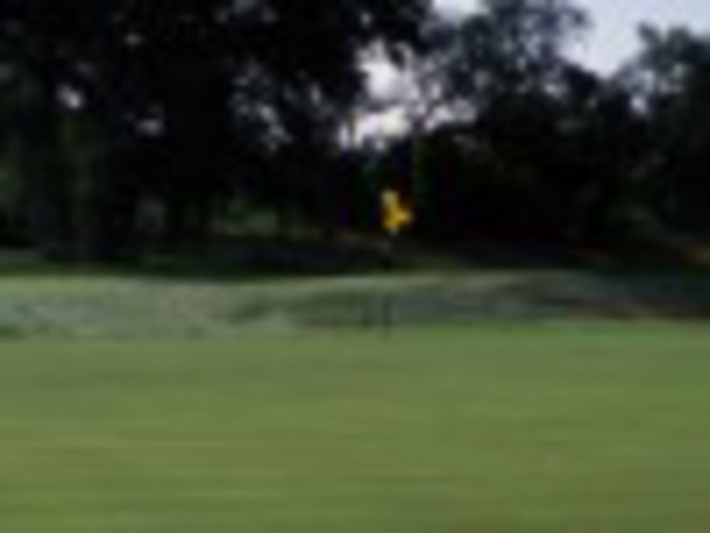 Course photo for Windrose Golf Club