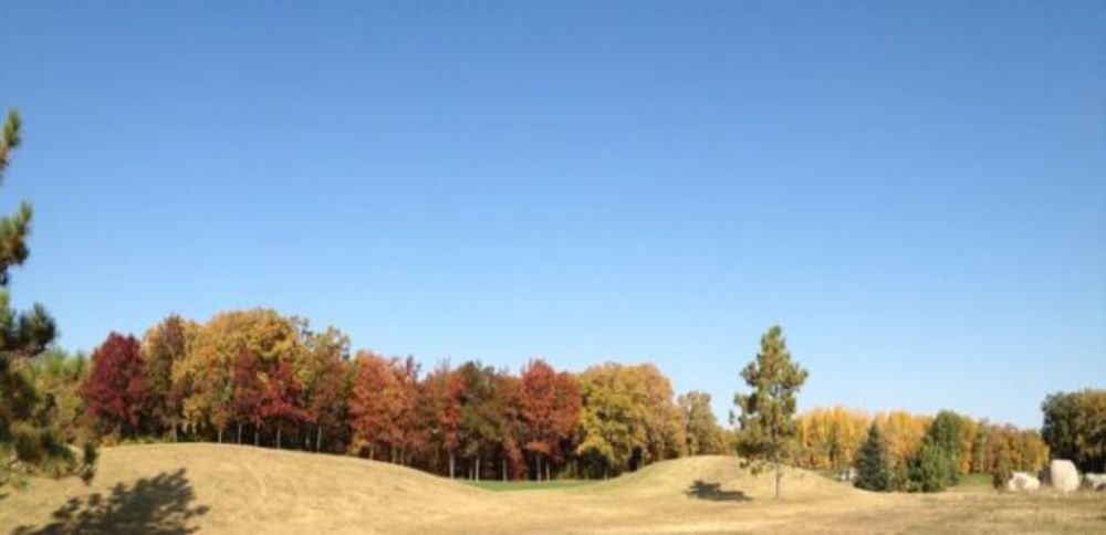 Course photo for Forest Hills Golf Course