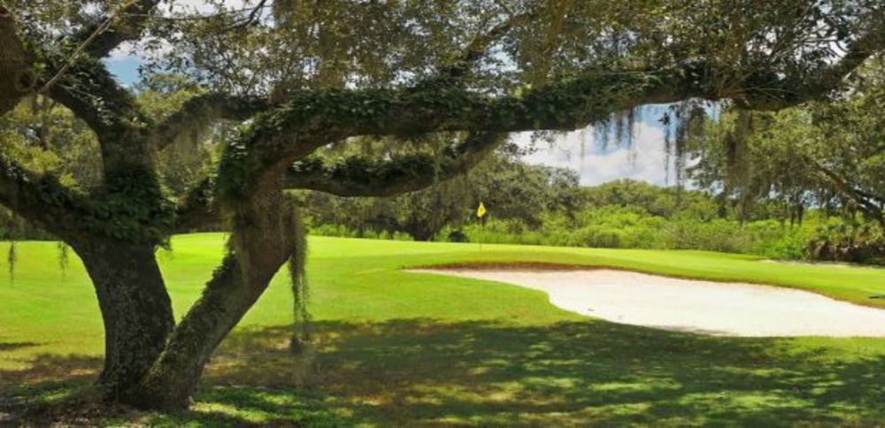 Course photo for Misty Creek Country Club