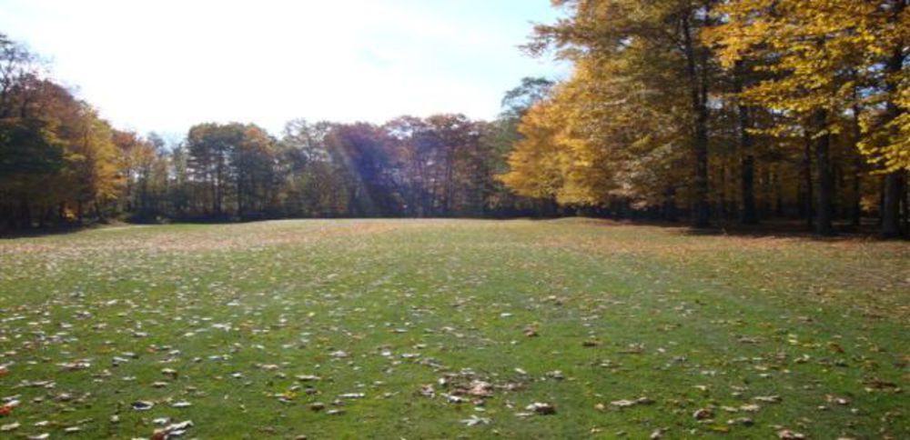 Course photo for Oak Run Golf Club