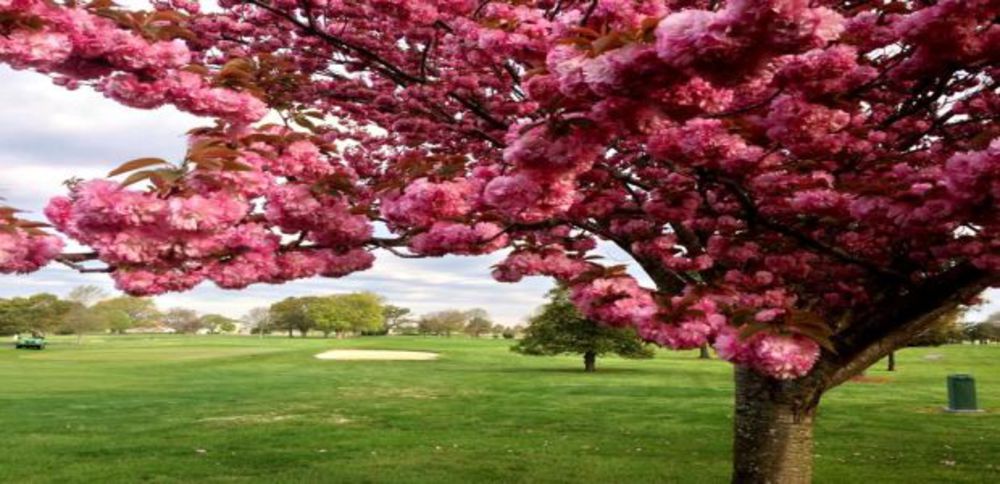 Course photo for Ocean City Golf Club - Newport Bay Course