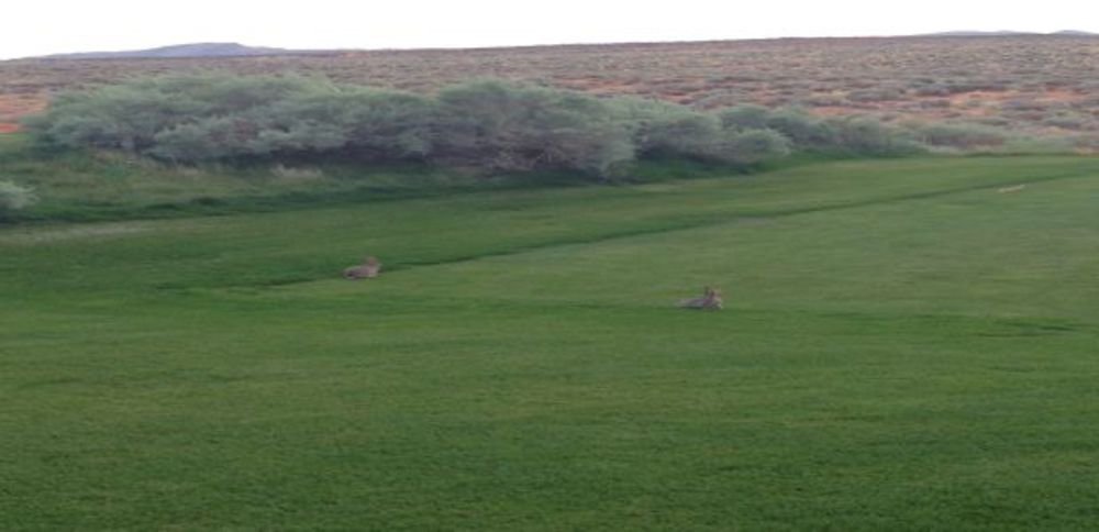 Course photo for The Golf Course at Sand Hollow Resort