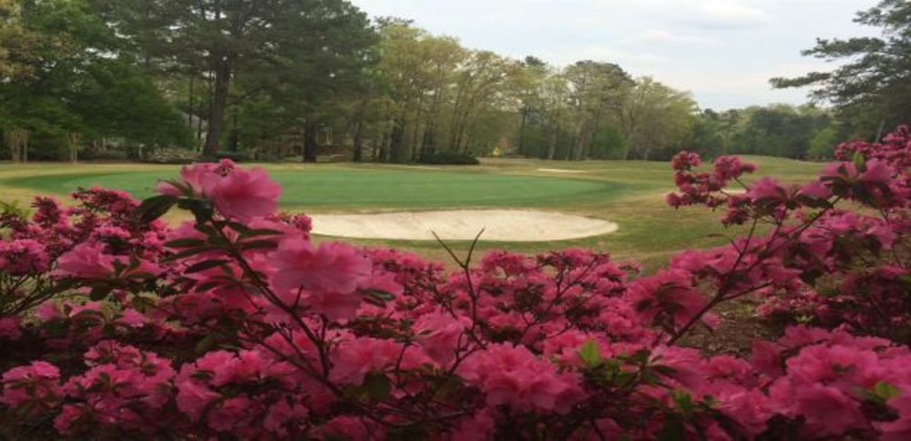 Course photo for St Marlo Country Club