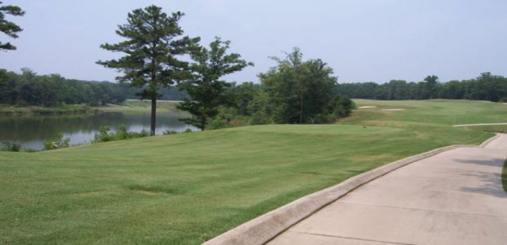 Course photo for The Lion Golf Club