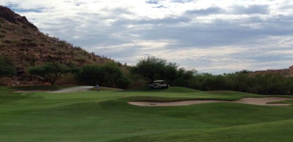 Course photo for The Phoenician