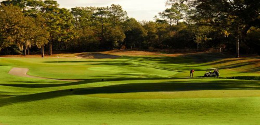 Course photo for Twisted Oaks Golf Club