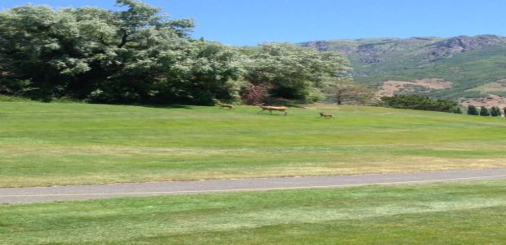 Course photo for Valley View Golf Course
