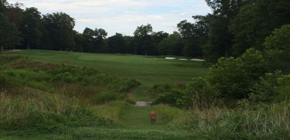 Course photo for Westfields Golf Club