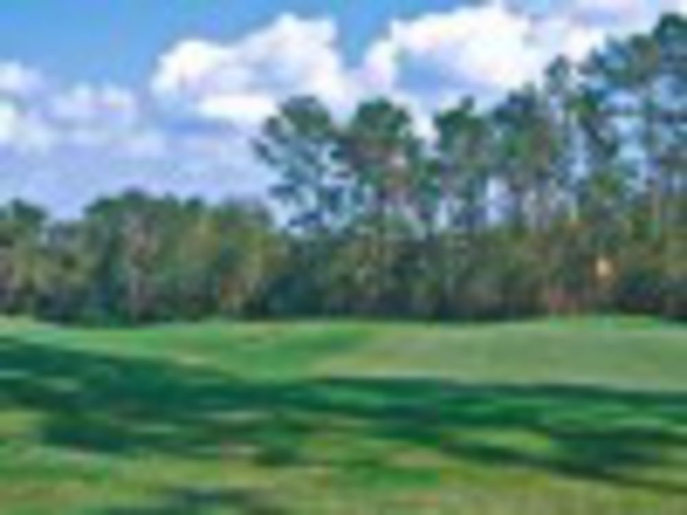 Course photo for Magnolia Grove Golf Club - Falls Course