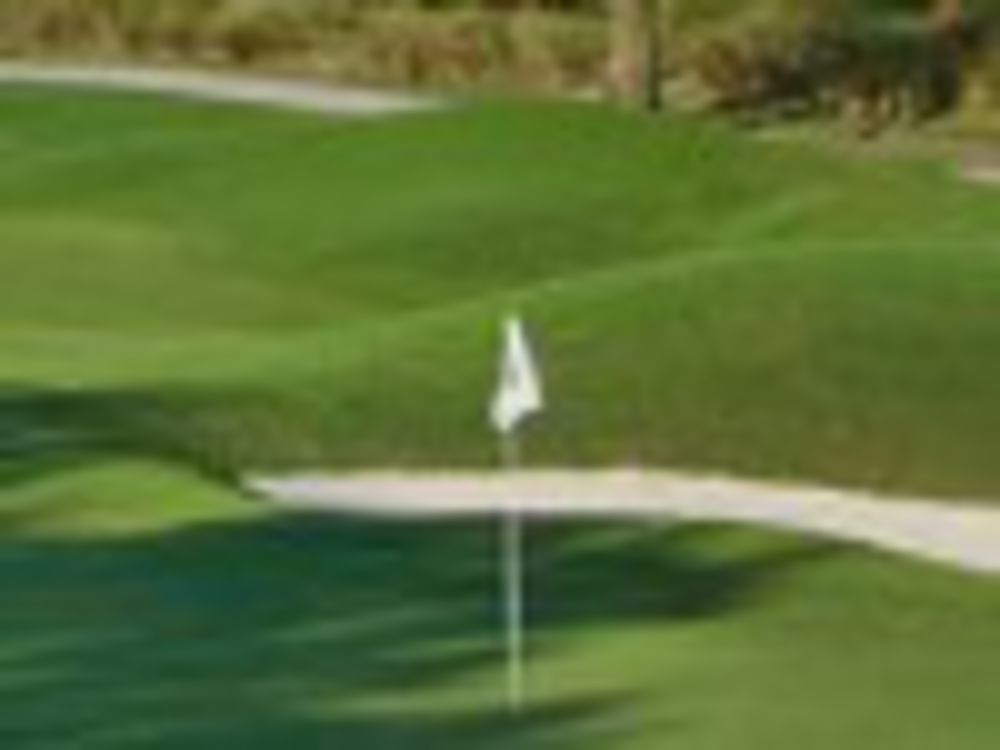 Course photo for Grand Cypress Resort - North Course