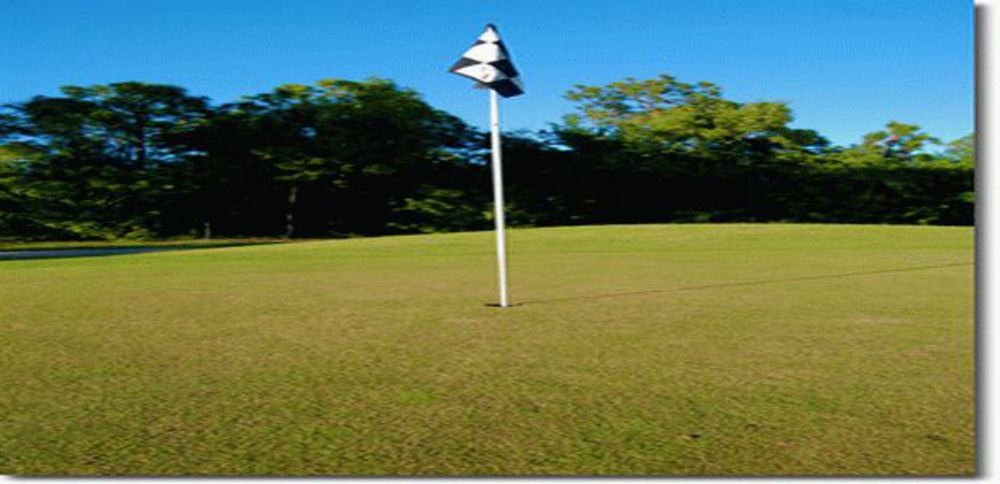 Course photo for The Links of Naples