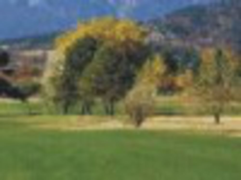 Course photo for Hollydot Golf Course