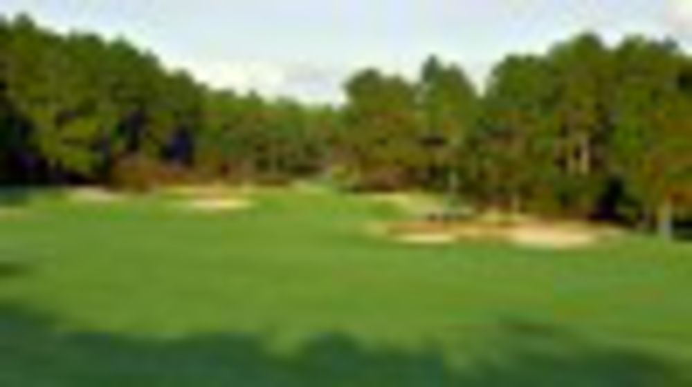 Course photo for Foxfire Resort - Grey Fox (East)