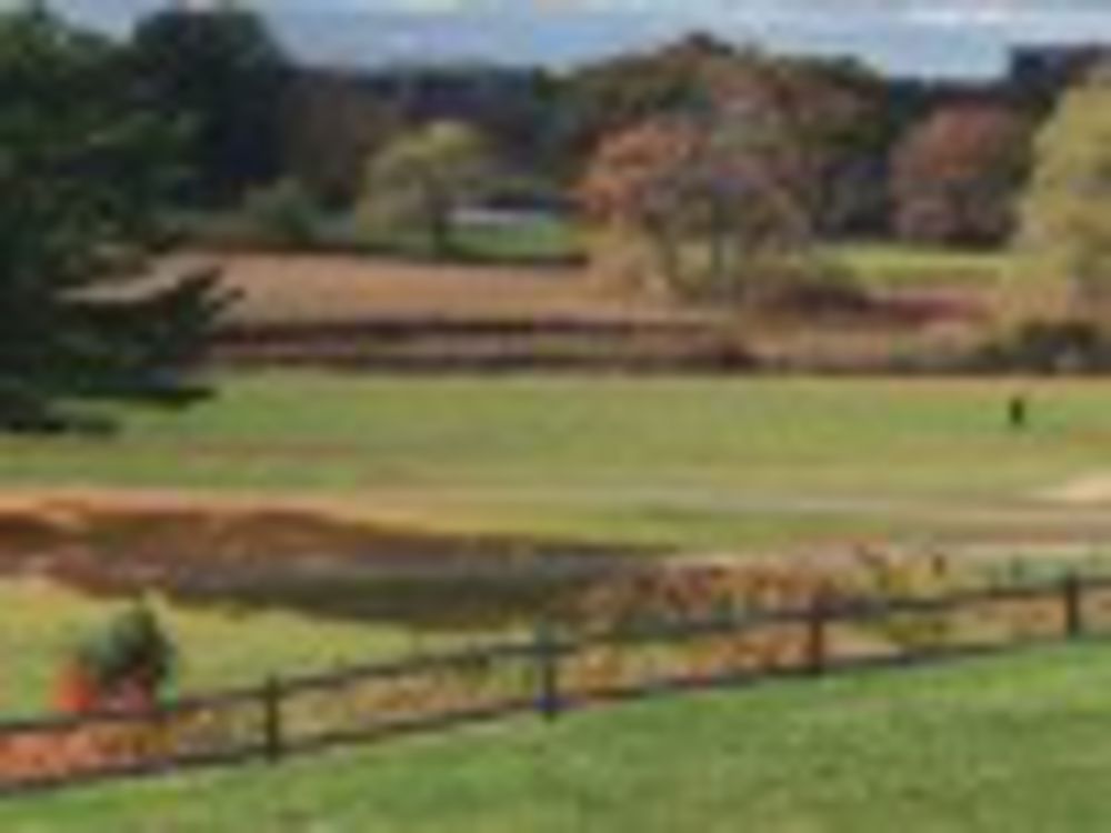 Course photo for King Rail Reserve Golf Course