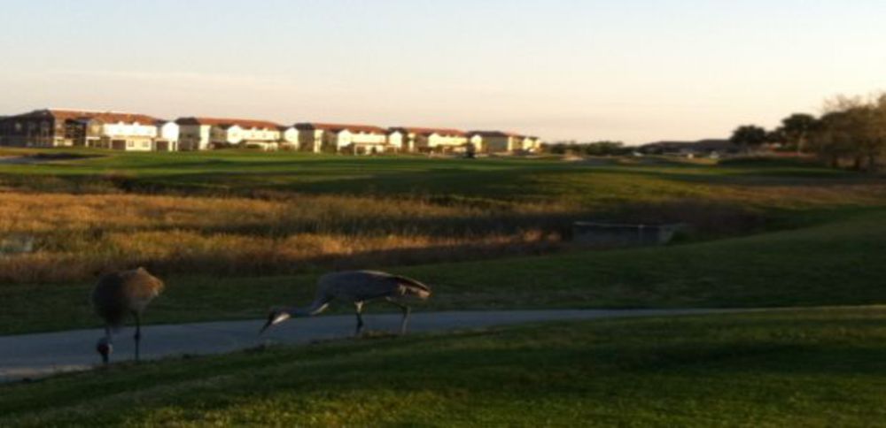 Course photo for Legacy Golf Club