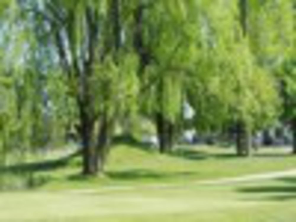 Course photo for Leaning Tree Golf Club