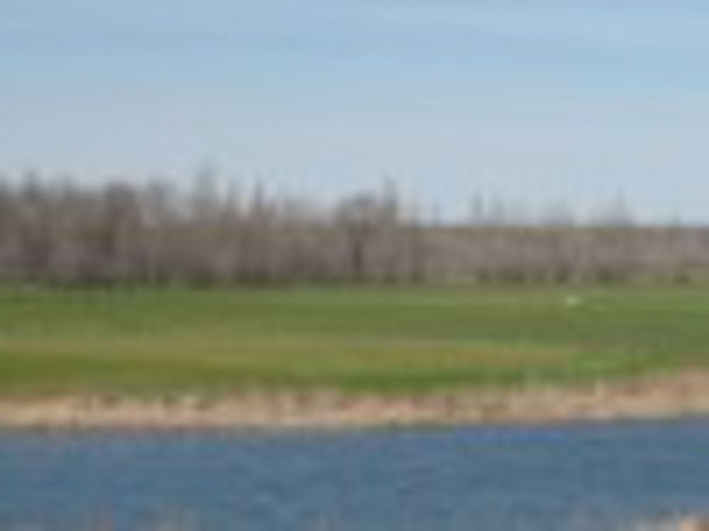 Course photo for Star City Golf Course