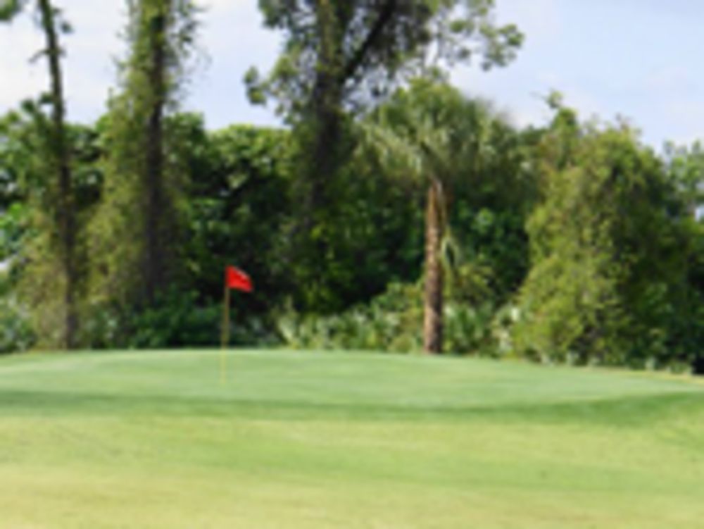 Course photo for Forest Oaks Golf Club