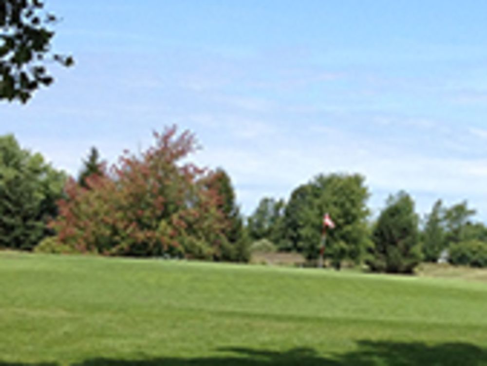 Course photo for Lake Leann Golf Course