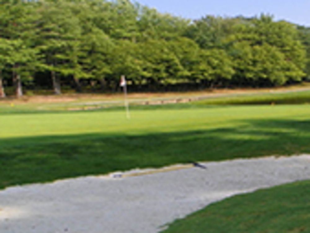 Course photo for Treasure Lake - Silver Course