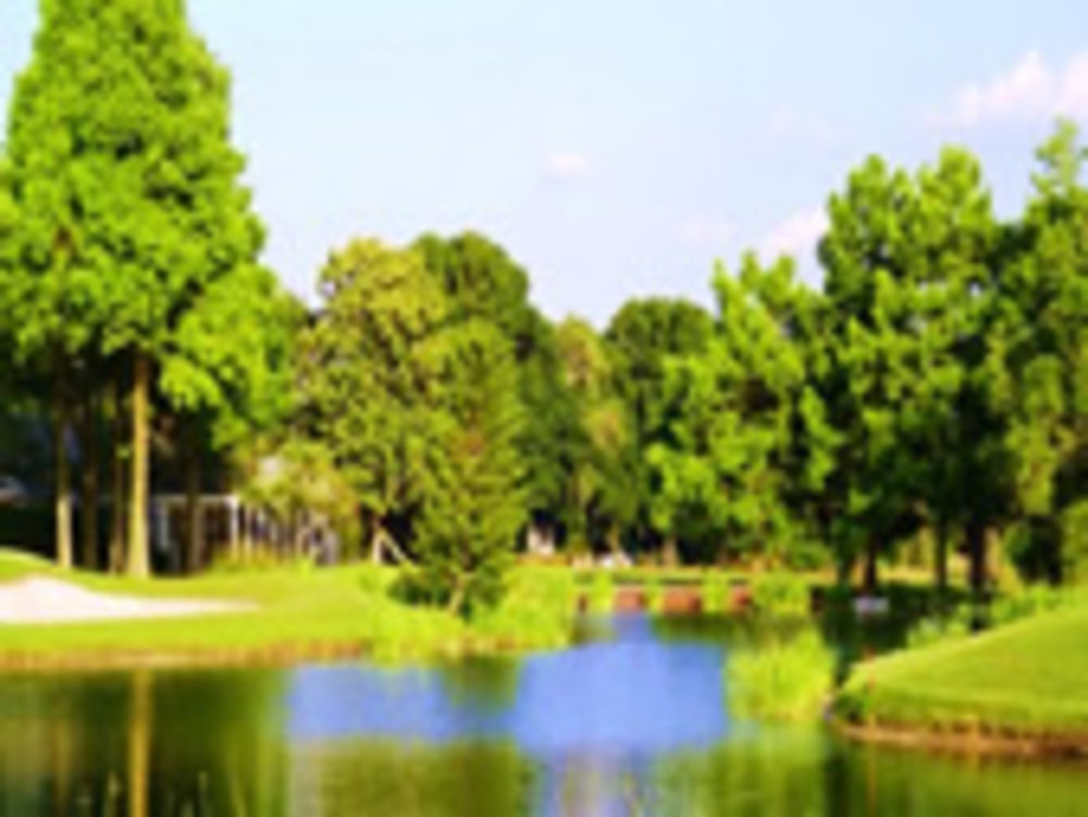 Course photo for Biltmore Golf Course