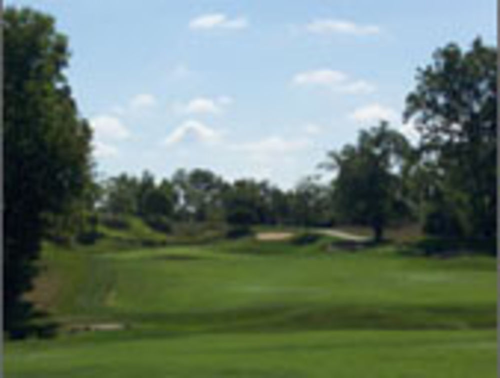 Course photo for Cooks Creek Golf Club