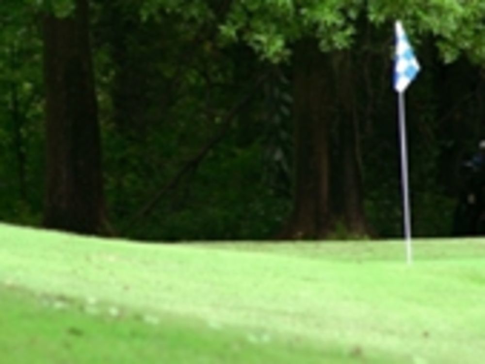 Course photo for Fore Honor Golf & Event Center